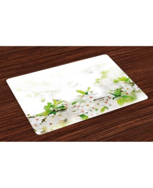 Ambesonne Flower Place Mats Set of 4