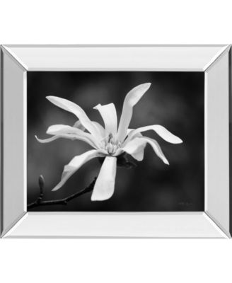 Magnolia Dreams I by Geyman Vitaly Mirror Framed Print Wall Art, 22" x 26"