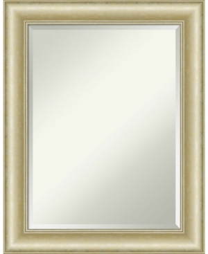Amanti Art Textured Light Gold-tone Framed Bathroom Vanity Wall Mirror, 23" X 29"