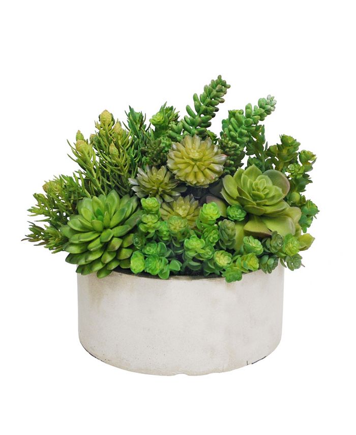 Winward Silks Permanent Botanicals Succulent in Planter Macy's