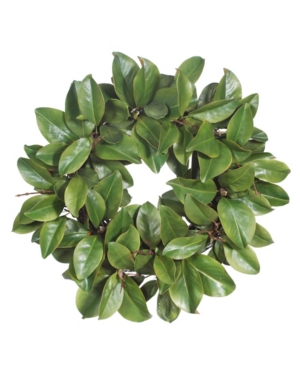 Winward Silks Permanent Botanicals Magnolia Leaf Twig Wreath In Green