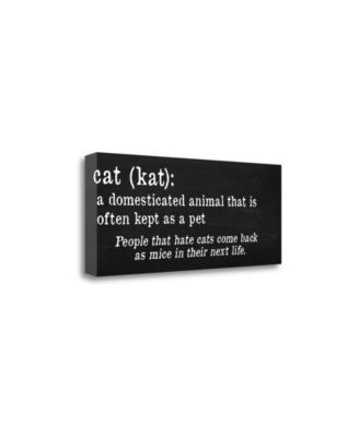 Cat Definition by Anna Quach Giclee Print on Gallery Wrap Canvas, 28" x 12"