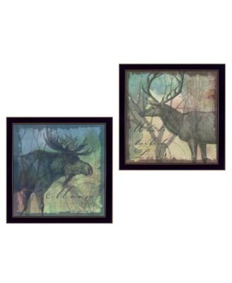 Wildlife Collection Collection By Barb Tourtillotte, Printed Wall Art, Ready to hang, Black Frame, 28" x 14"