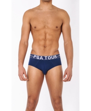 Pga Tour Brief