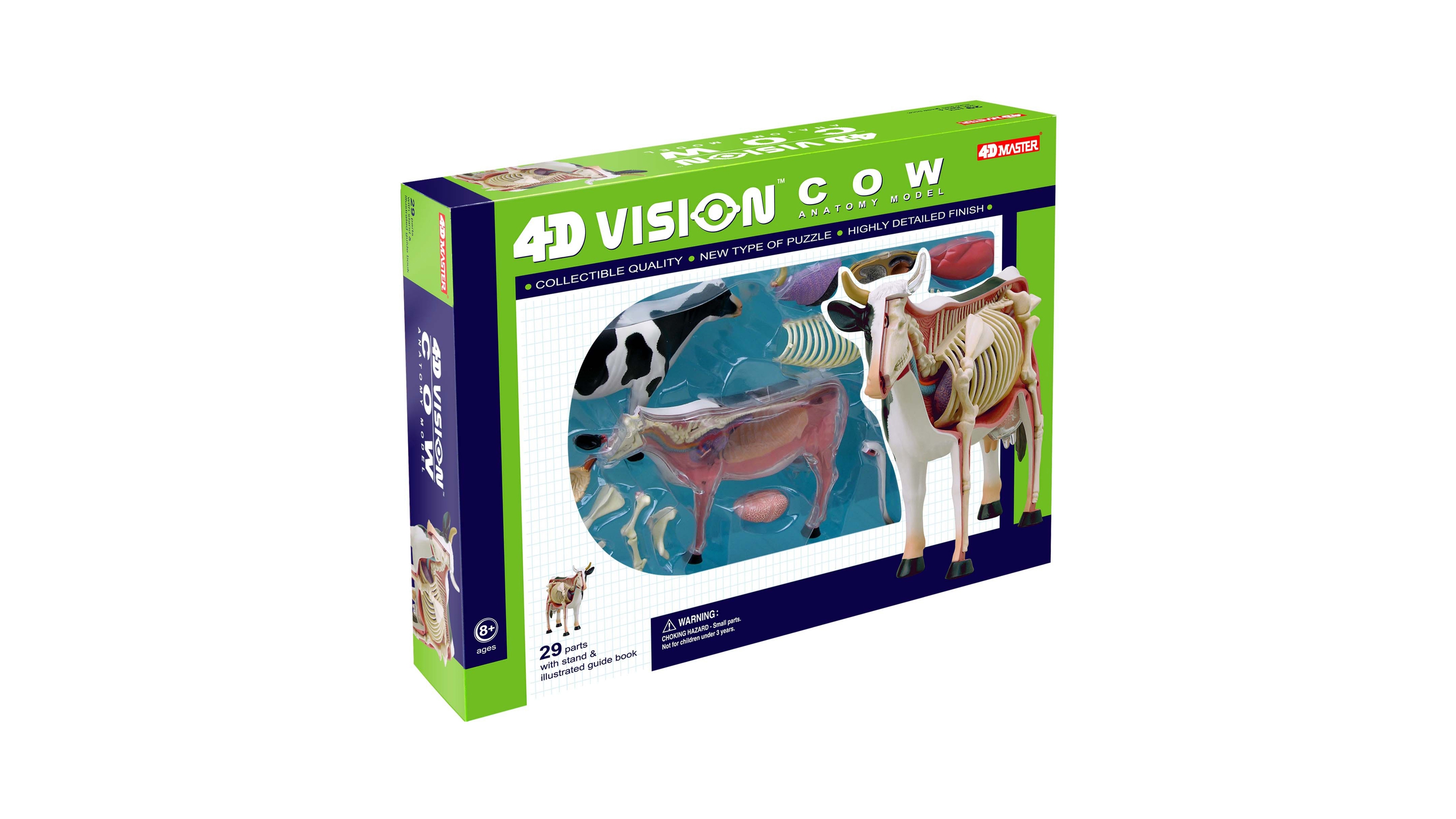 4D Master 4D Vision Cow Anatomy Model