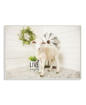 Stupell Industries Live Simply Baby Sheep with Greenery Photograph Wall Plaque Art 10