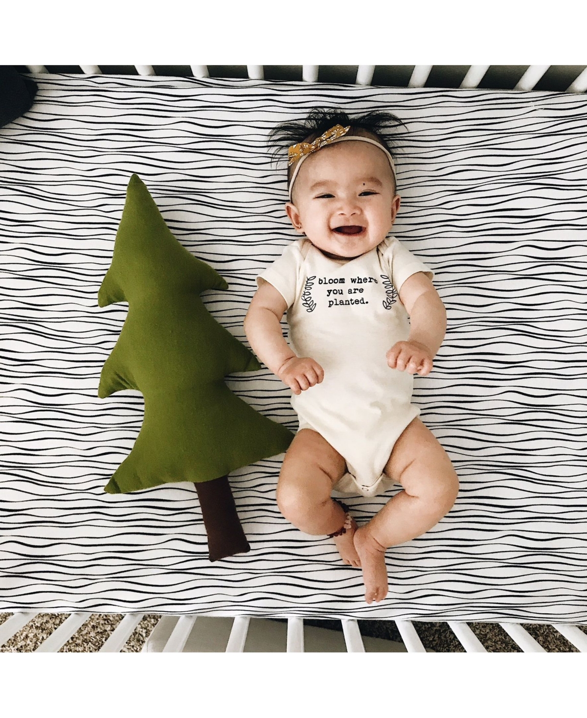 Ely's Jersey Cotton Crib Sheet Set Pack Arden Fair