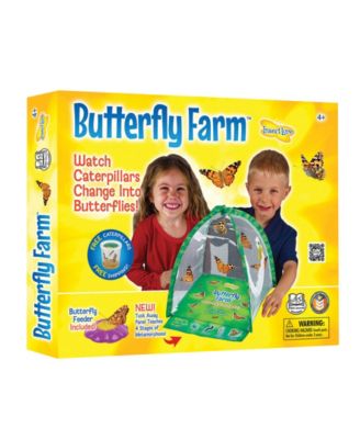 Insect Lore Stem Educational Butterfly Life Cycle Growing Kit