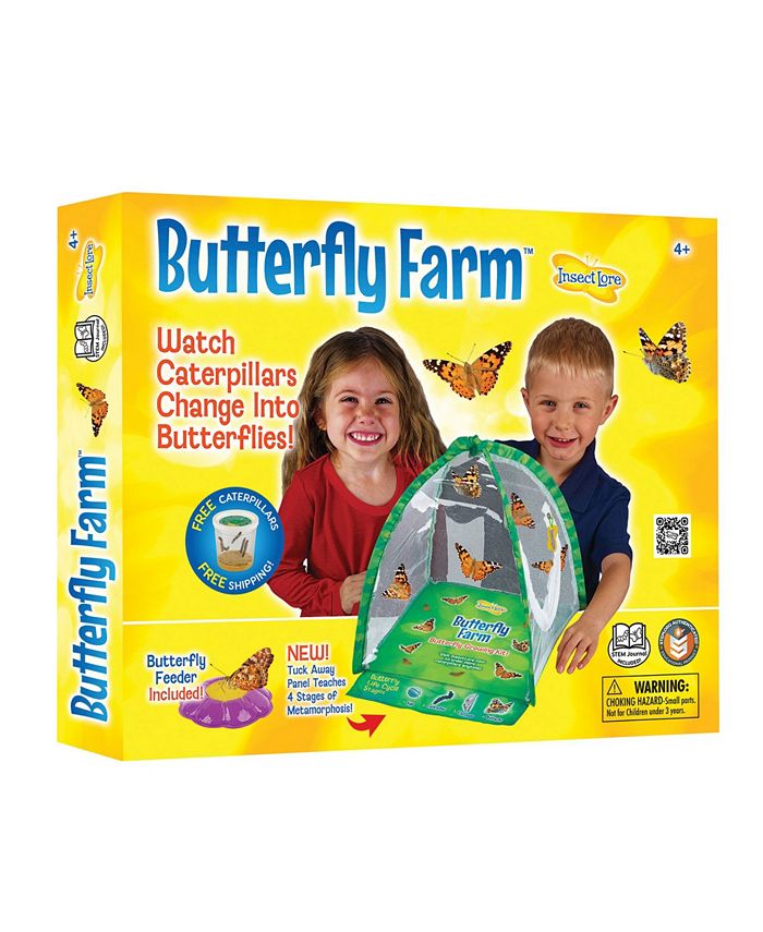 Insect Lore STEM Educational Butterfly Life Cycle Growing Kit Macy's