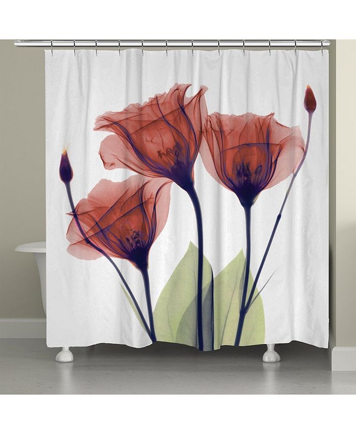 Laural Home Red Gentian Xray Flowers Shower Curtain Macy's