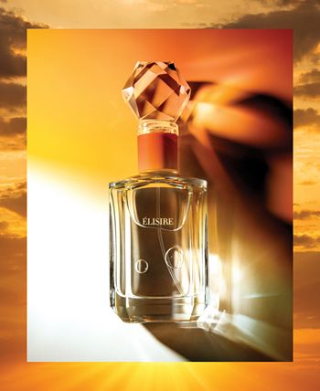 Ambre Nomade Elisire perfume - a fragrance for women and men 2015