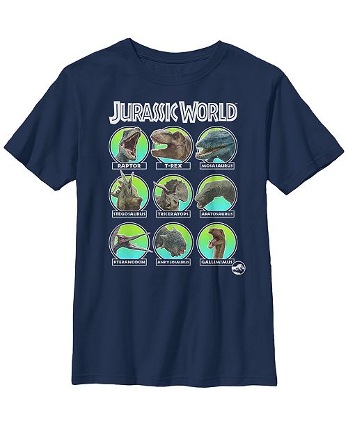 Fifth Sun Jurassic World Big Boy S Dino Identification Names Short
