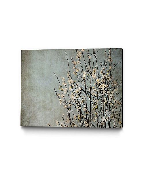 Giant Art 32 X 24 Tree I Museum Mounted Canvas Print Reviews