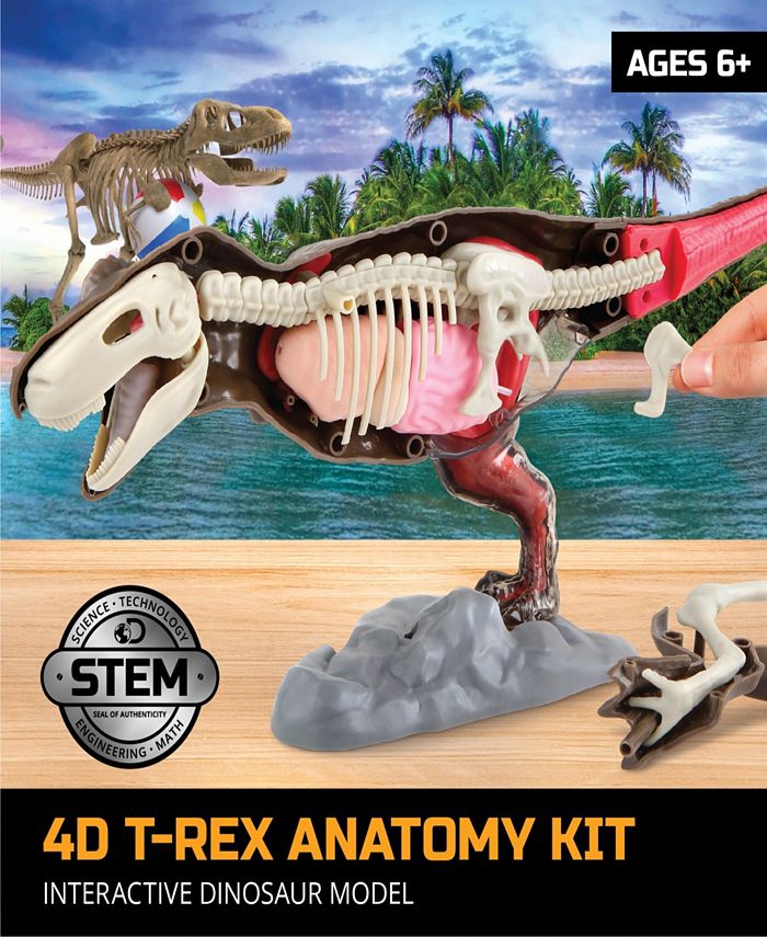 Discovery #MINDBLOWN Discovery Mindblown Toy Anatomy T-Rex Kit - Macy's