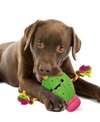 Pets First - Plush Cactus Pet Rope Toy W/ Squeaker