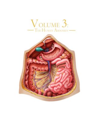 MasterPieces Puzzles Genius Games Dr. Livingston's Human Anatomy Jigsaw Puzzles - The Human Abdomen