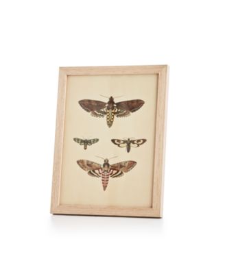 Two's Company - Dragonfly Wall Art