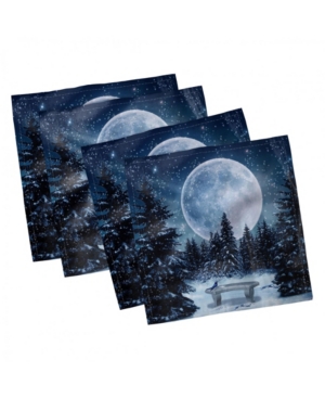 Ambesonne Winter Set of 4 Napkins 12