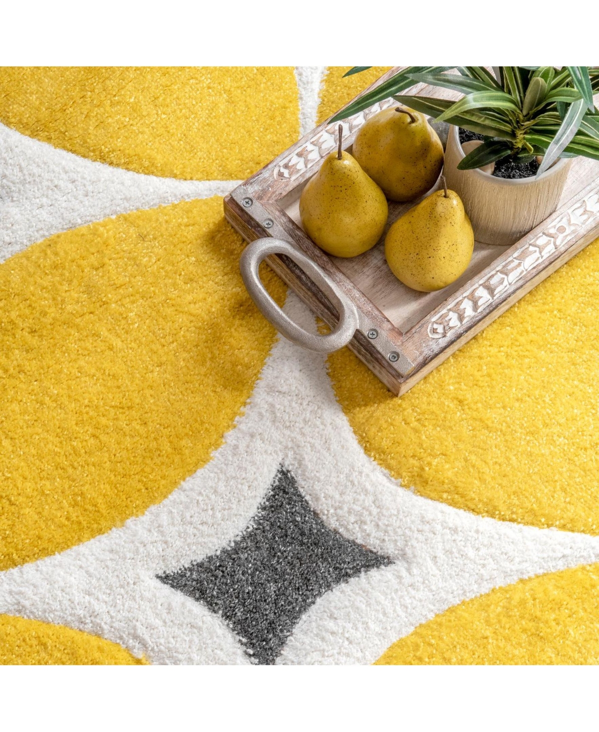 nuLoom Cine Gabriela Contemporary Area Rug