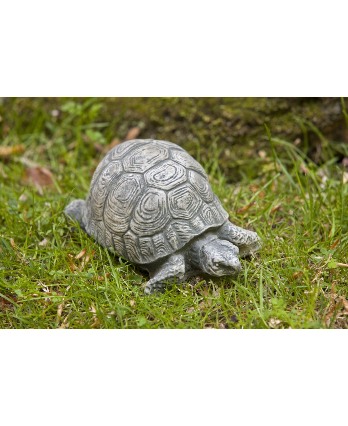 UPC 615973000386 product image for Campania International Turtle Small Garden Statue | upcitemdb.com
