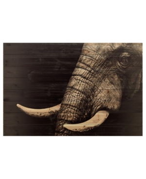 Empire Art Direct Elephant Arte De Legno Digital Print On Solid Wood Wall Art, 30" X 45" X 1.5" In Black