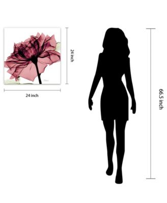 Chianti Rose I Frameless Free Floating Tempered Glass Panel Graphic Wall Art, 24" x 24" x 0.2"