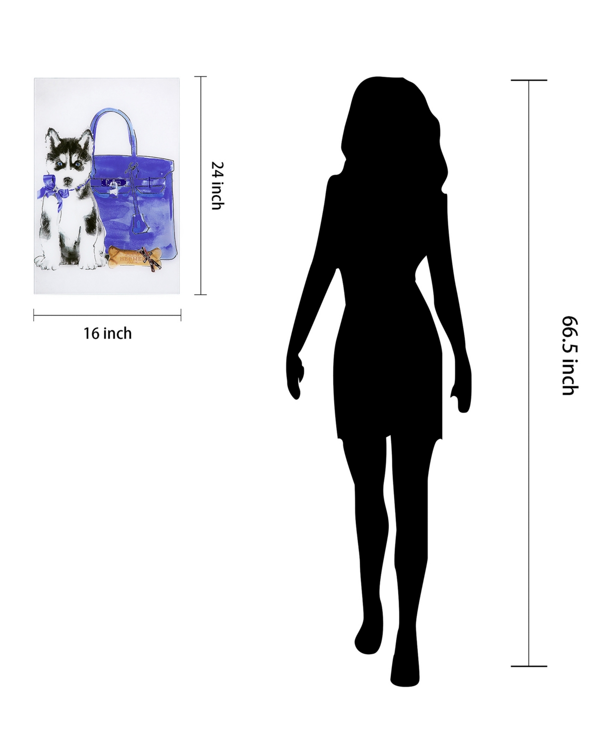 Empire Art Direct Husky Frameless Free Floating Tempered Glass Panel Graphic Dog Wall Art, 0.2