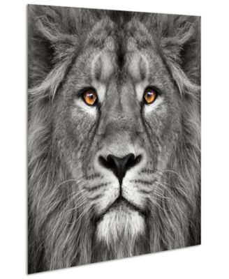 King of the Jungle Lion Eye of the Tiger Frameless Free Floating Tempered Glass Panel Graphic Wall Art, 38" x 38" x 0.2"