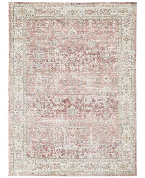 Amer Rugs Century Cen 8 Salmon 5 3 X 7 3 Area Rug Reviews Rugs Macy S