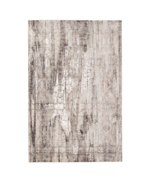 Amer Rugs Cambridge Cam-3 Gray 5'3" X 7'6" Area Rug