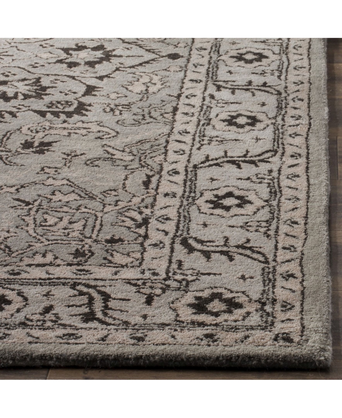Safavieh Antiquity At58and Beige x Area Rug - Gray
