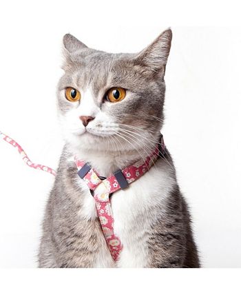 Touchcat - 810010816450