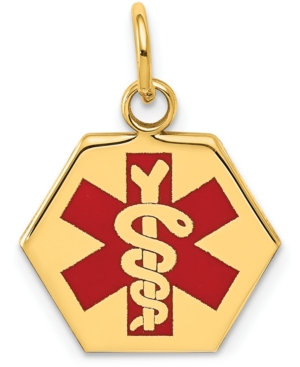image of Medical Info Hexagon Charm Pendant in 14k Gold