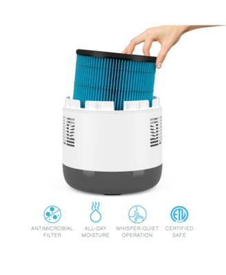 MistAire Eva 4-Speed Evaporative Humidifier