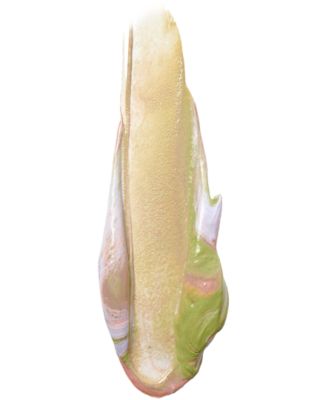 One Step Correct Kitten Skin Tone Correcting & Brightening Primer, 1-oz.