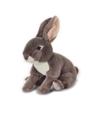 Venturelli Lelly National Geographic Basic Collection Plush, Jack Rabbit