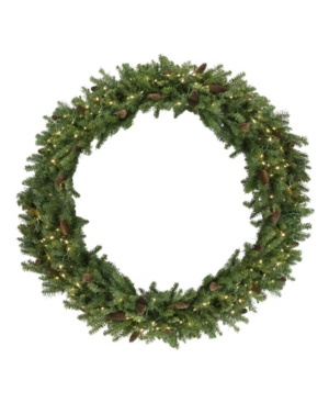 Northlight Pre-Lit Dakota Pine Commercial Artificial Christmas Wreath-Warm Led Lights