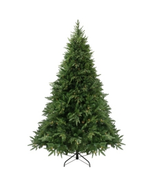 Northlight Pre-Lit Full Silverthorne Fir Artificial Christmas Tree