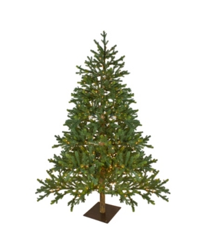 Northlight Pre-Lit Full North Pine Artificial Christmas Tree