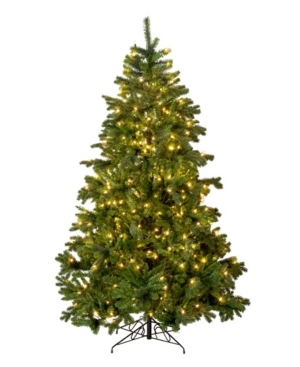 Perfect Holiday 7' Prelit Calgary Spruce Christmas Tree with 350 Led Lights