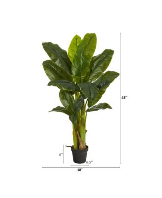 Triple Stalk Banana Tree, Real Touch