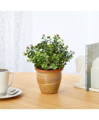 Eucalyptus and Sedum Succulent Artificial Plant in Ceramic Planter