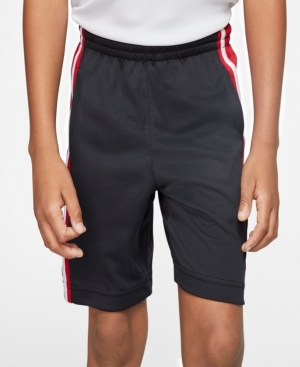image of Jordan Little Boys Dri-Fit Mesh Shorts