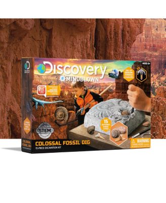 Toy Fossil Excavation Kit, 15 Pieces