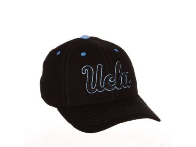 Mascotte peinte à la main Zephyr NCAA UCLA Bruins Tokyodachi