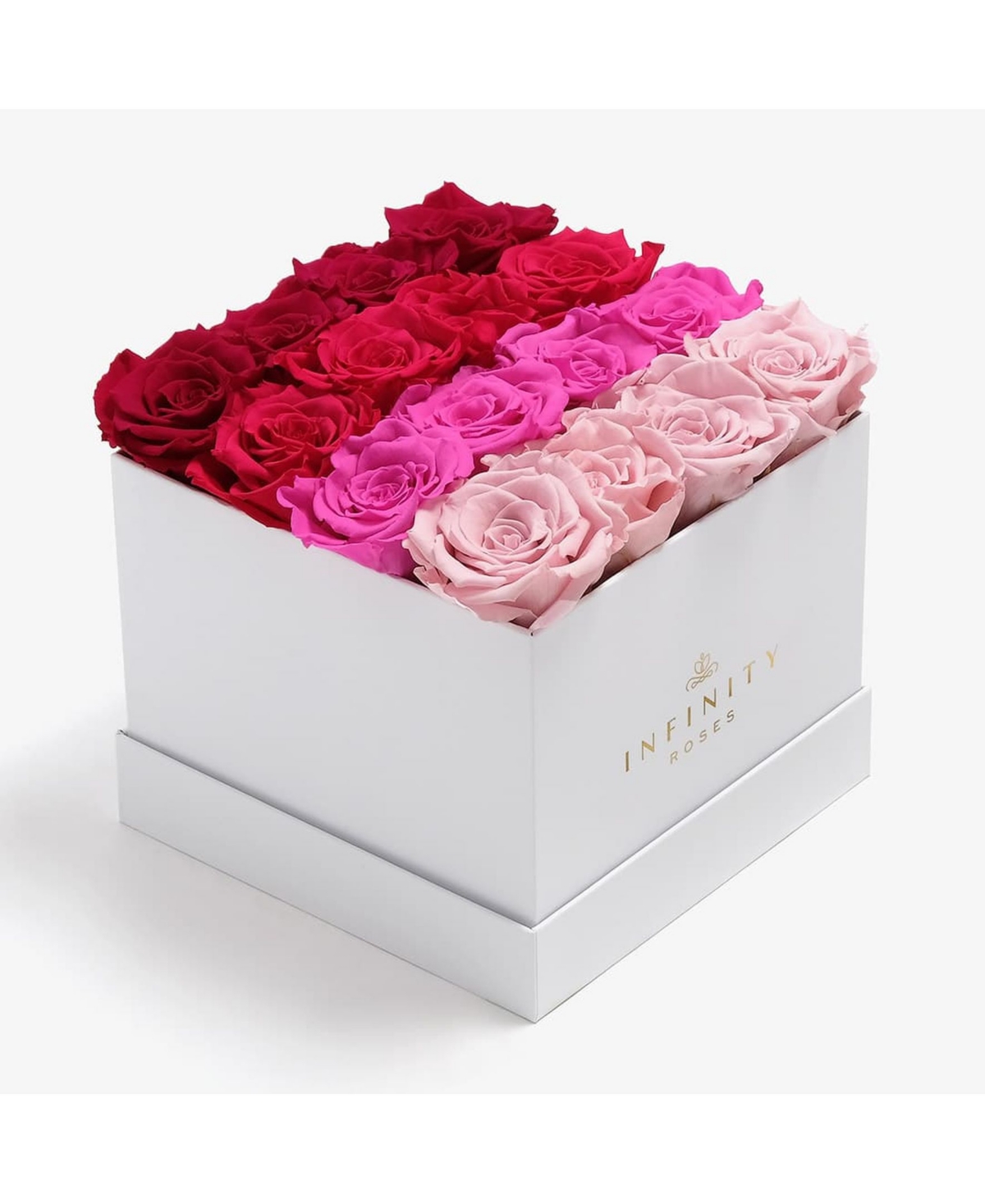 Square Box of 16 Pink Ombre Real Roses Preserved To Last Over A Year - Pink