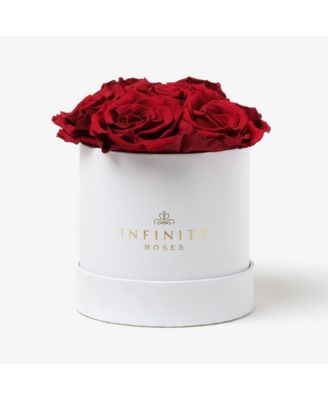 Round Box of 7 Red Real Roses Preserved To Last Over A Year - Macy's
