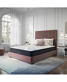 Essenza 12" Hybrid Latex and Innerspring Plush Mattress in a Box Collection