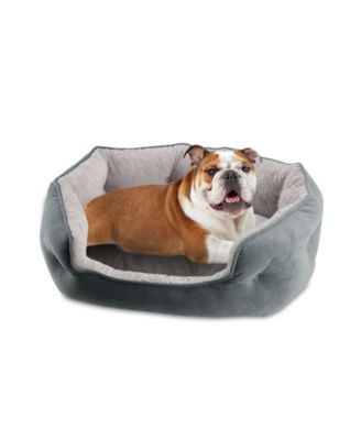 Paws & Claws Memory-Schaum Hundebett – Oval, Kaufsicher & Waschbar – Größe M/L, Farbe Sand – Hergestellt In USA