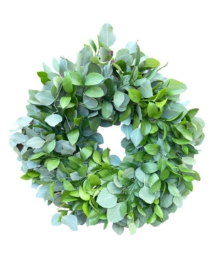 Greenishblu Fresh Dollar Eucalyptus And Ruscus Wreath In Green